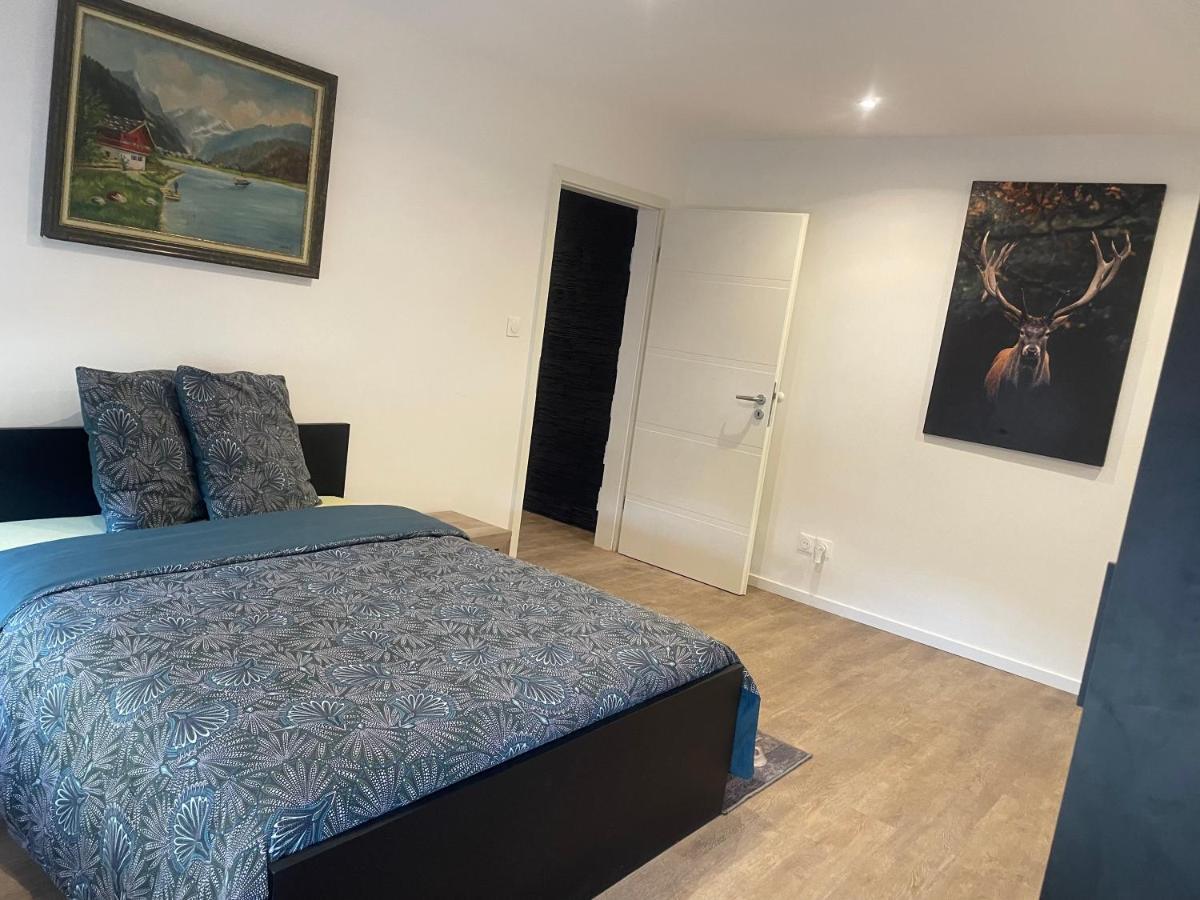 Superbe Appartement Au Rdc Avec Cheminee Villerupt Exterior foto